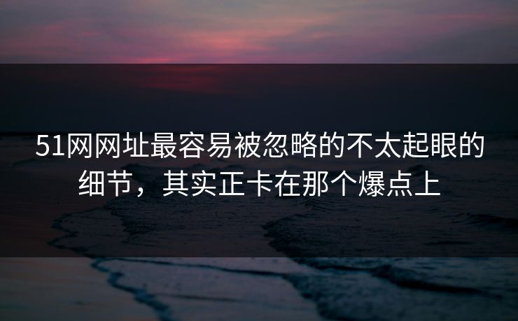 51网网址最容易被忽略的不太起眼的细节，其实正卡在那个爆点上