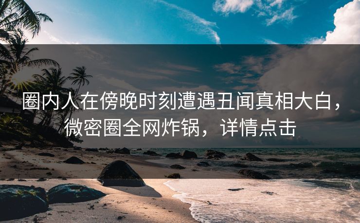 圈内人在傍晚时刻遭遇丑闻真相大白，微密圈全网炸锅，详情点击