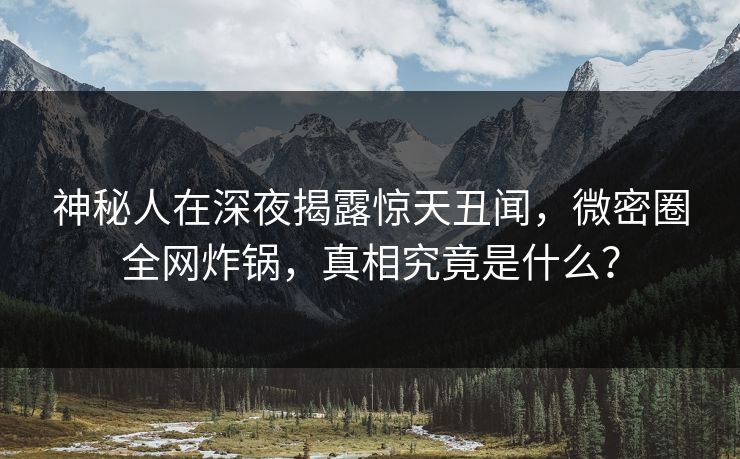 神秘人在深夜揭露惊天丑闻，微密圈全网炸锅，真相究竟是什么？