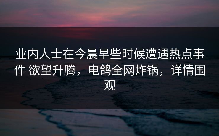 业内人士在今晨早些时候遭遇热点事件 欲望升腾，电鸽全网炸锅，详情围观